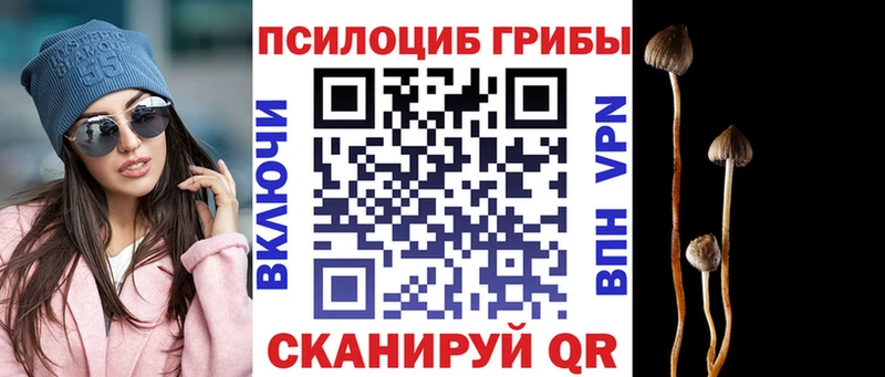 Галлюциногенные грибы GOLDEN TEACHER  Купить закладки  Ленинградская 